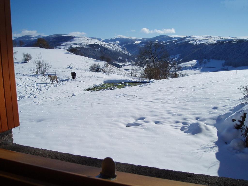 Domaine De La Chaux De Revel Guest House Saint-Martin-Valmeroux Exterior photo